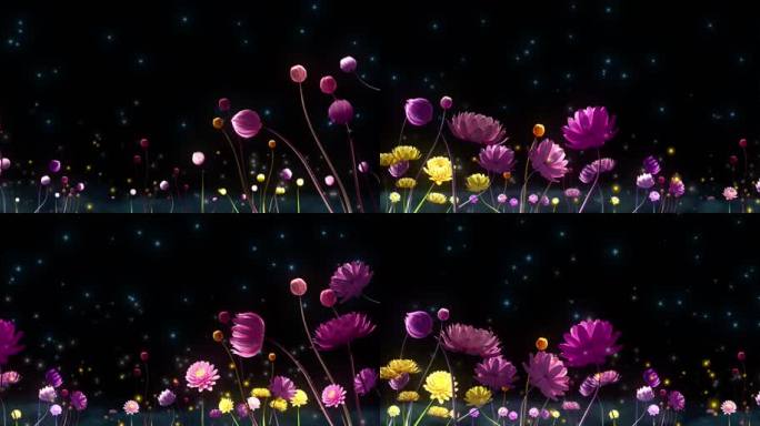 星光花海梦幻绽放