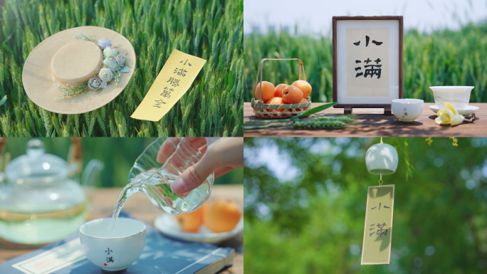 小满 小满节气  小麦 麦田 下雨