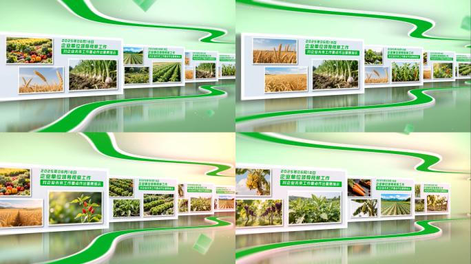 绿色环保丰收多照片时间轴滚动展示