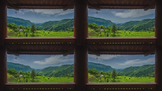 【正版原创实拍】恩施花枝山茶园延时摄影