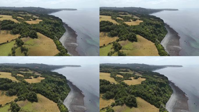 从空中俯瞰智利奇洛岛群的莱穆岛海岸线，展示了耕作的田地、森林和太平洋。镜头向前推进。