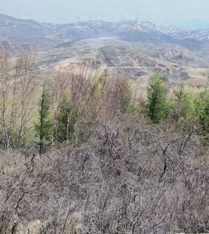 爬山山顶风景