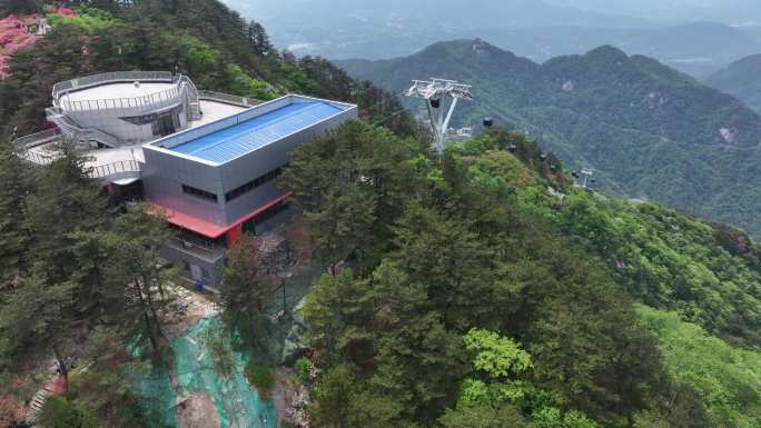 麻城龟峰山杜鹃花海航拍