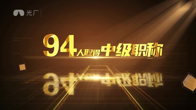 暗金数据包装