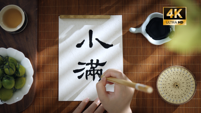 【小满节气】书法 麦田 水稻耕种下雨芒种