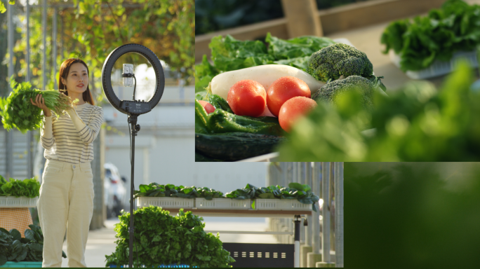 乡村蔬菜大棚电商直播农产品助农乡村振兴