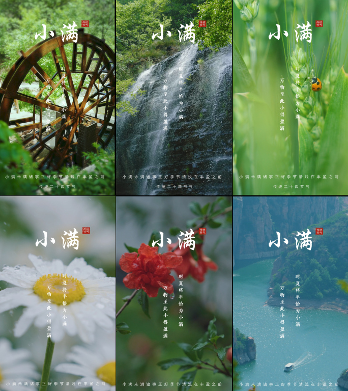 小满 竖版 小满节气 夏天 下雨 小麦