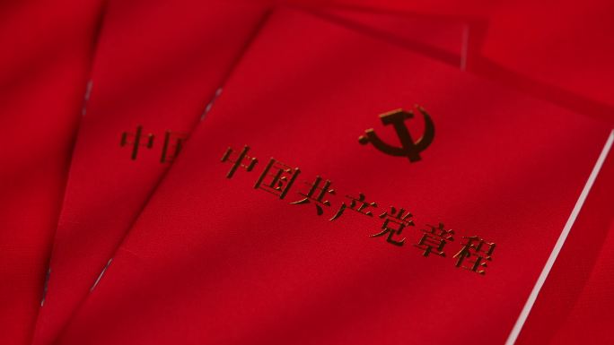党的章程 党建 红色