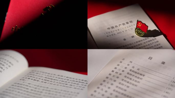 党的章程 党建 红色