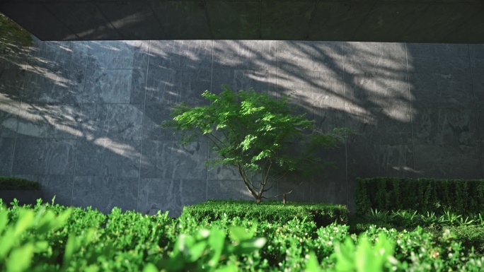 地产 空镜头 植物 调性 园林