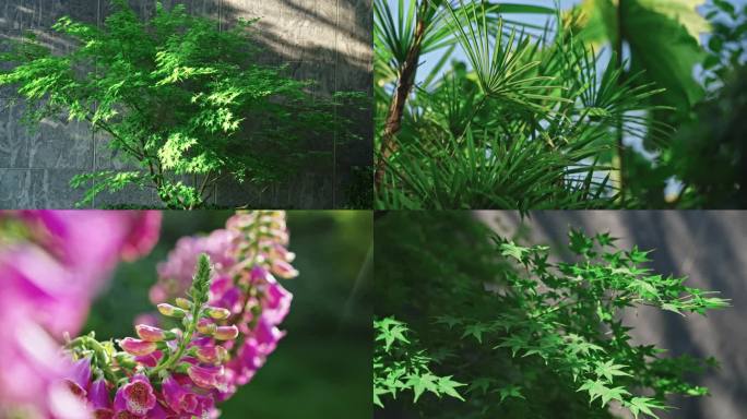 地产 空镜头 植物 调性 园林