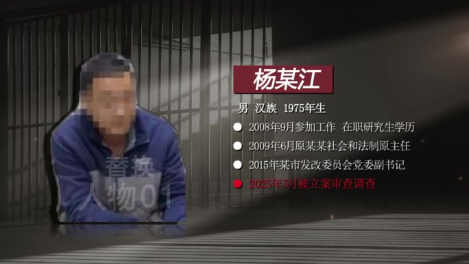 纪委反腐嫌疑人介绍模板