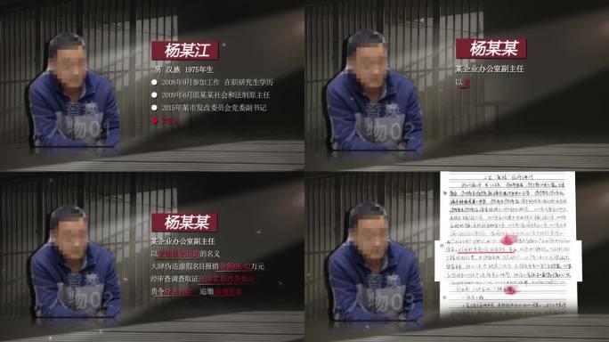 纪委反腐嫌疑人介绍模板