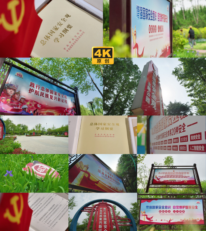 总体国家安全观