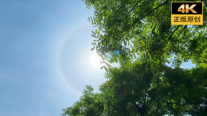 夏季夏至高温炎热酷暑太阳日晕防晒三伏天