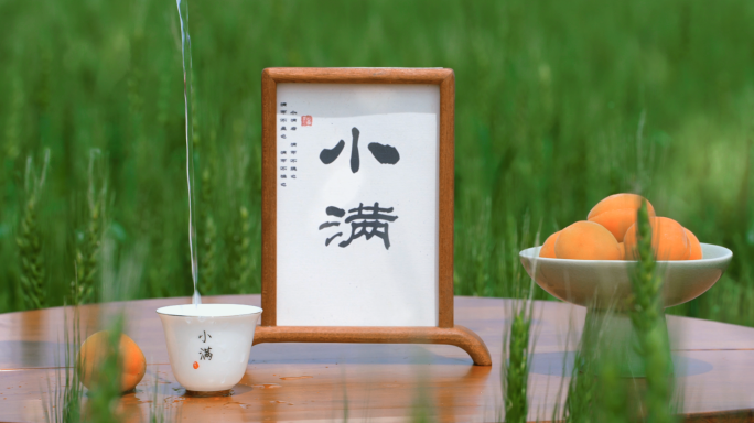 【小满】小满节气 小麦麦田 水稻插秧素材