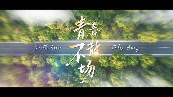 电影艺术感光影唯美标题字幕