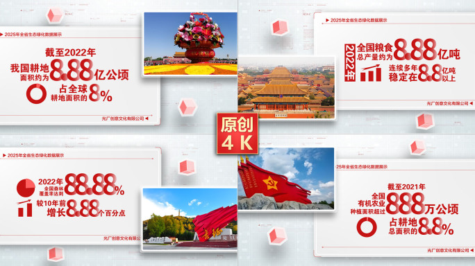 红色数据图文包装