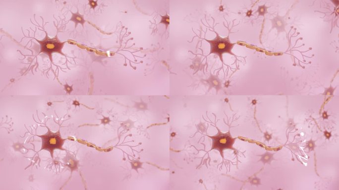神经元细胞信号传递AE模版
