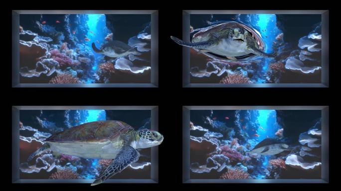 海龟珊瑚礁裸眼3d（可定制）