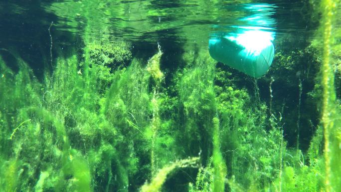 山东济南-白石泉水下清澈宁静鱼类水草生态