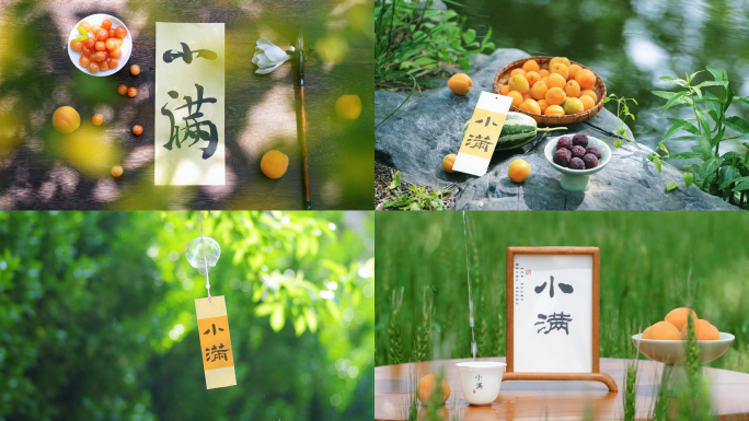 小满 小满节气 麦田 小麦 农作物 下雨