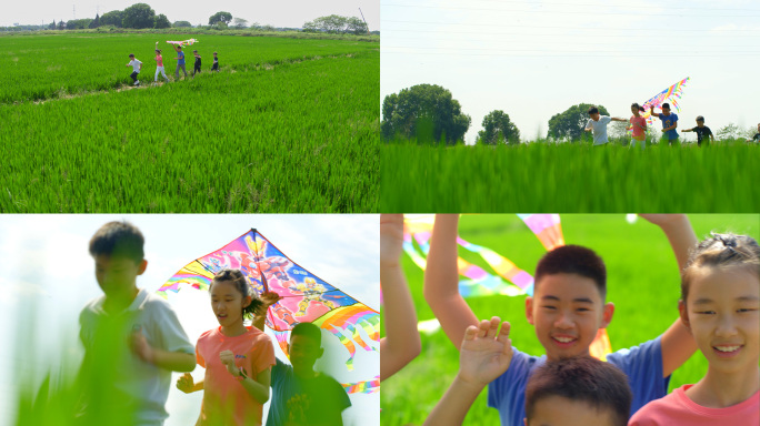 春天稻田小孩田野放风筝