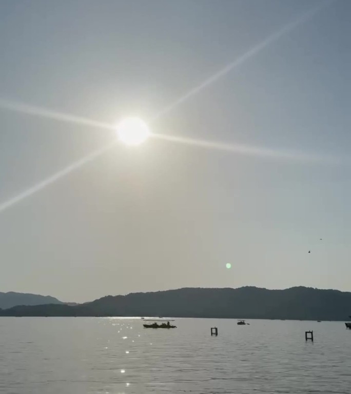 阳光普照
