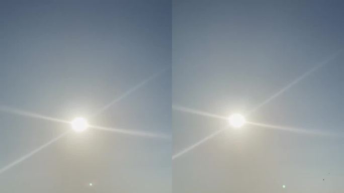 阳光普照