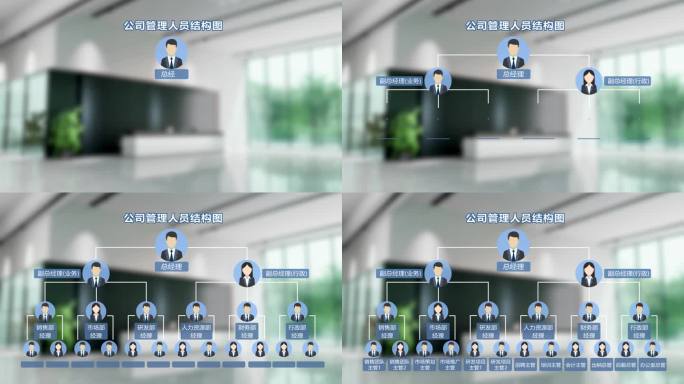 企业管理结构AE模板