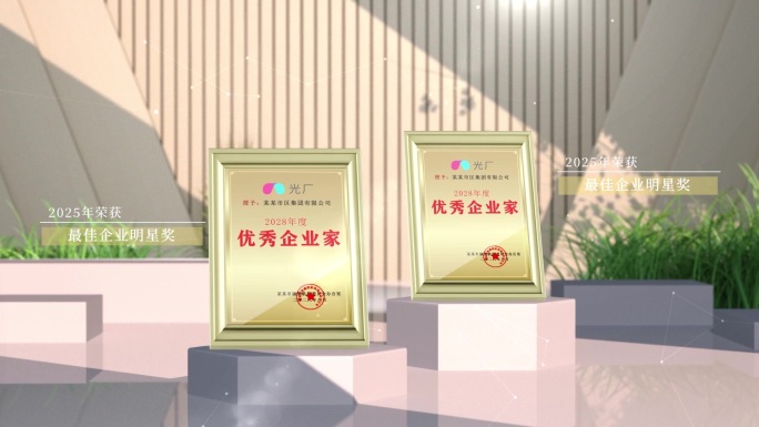 高端企业荣誉证书展示