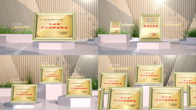 高端企业荣誉证书展示
