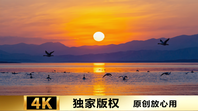 金色阳光下的自然奇观 壮丽日落日出景观
