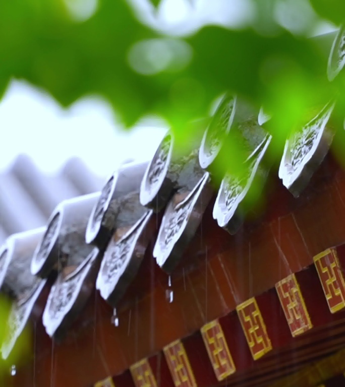 雨中庭院的诗意