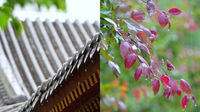 雨中庭院的诗意