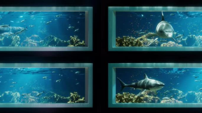 超写实8K深海裸眼3D素材(可定制)
