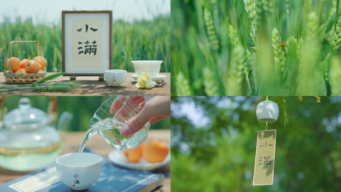 小满 小满节气 小麦 麦田 下雨
