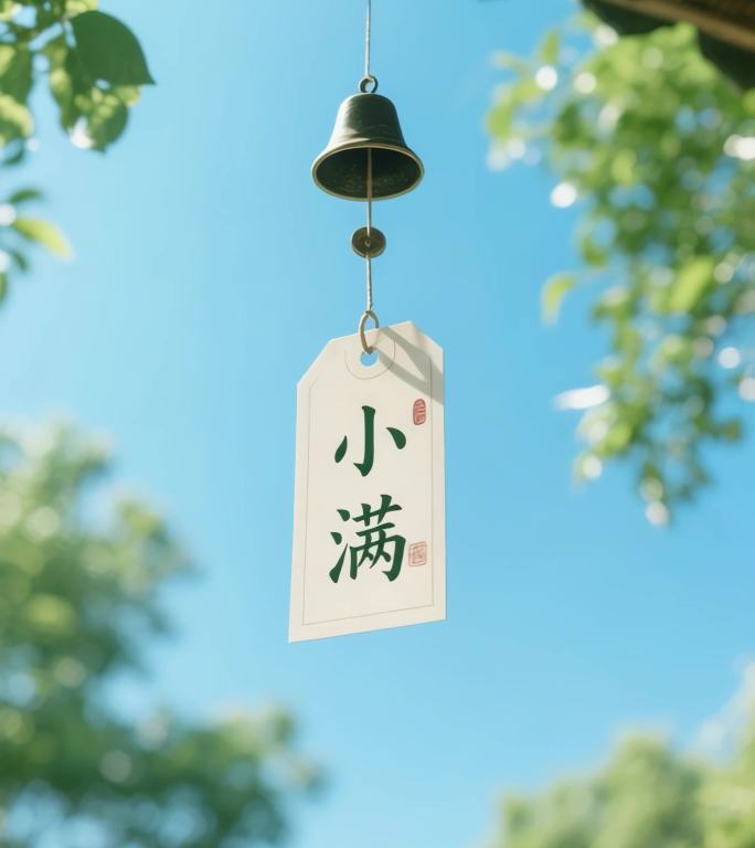 小满 小满节气 小满竖版 麦田荷花 下雨