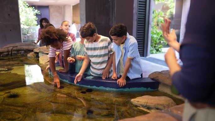 孩子们在水族馆的触摸池中聆听指导并与海洋生物互动。