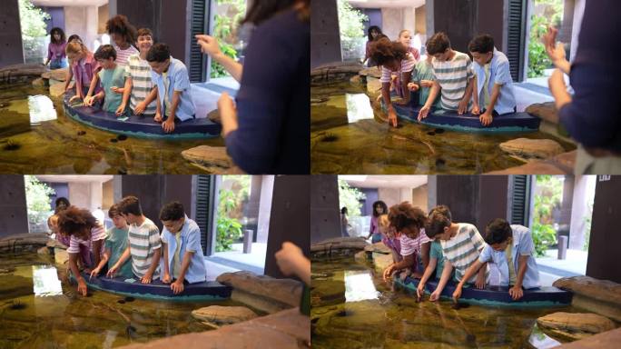 孩子们在水族馆的触摸池中聆听指导并与海洋生物互动。