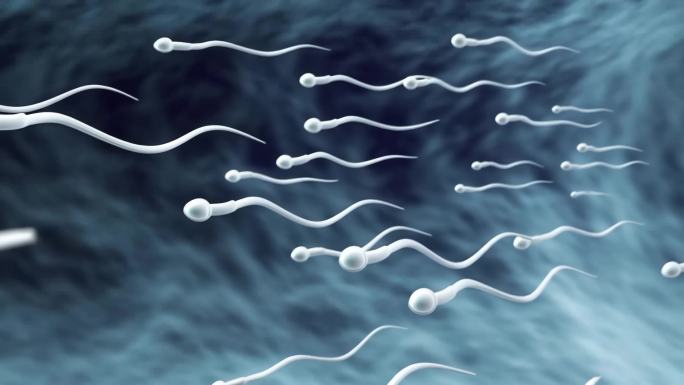 受精卵形成与胚胎发育 生命起源与细胞分裂