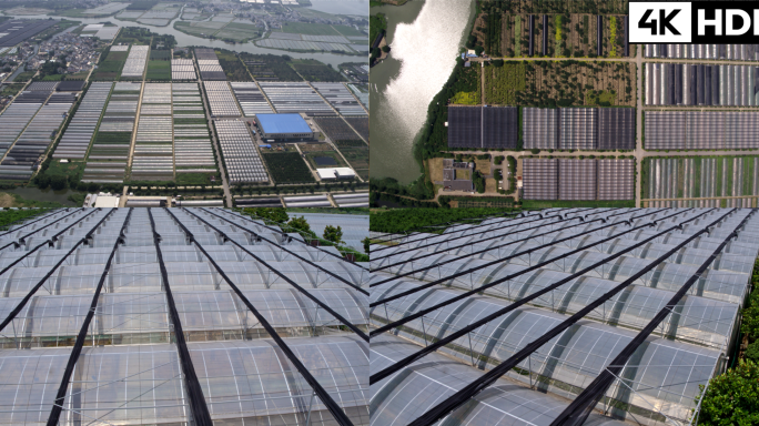 农村现代化种植蔬菜基地大棚空镜