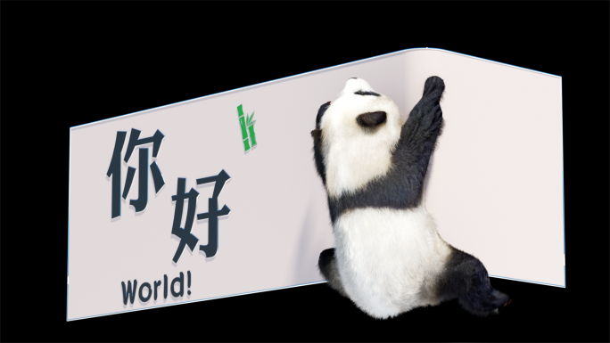 大熊猫裸眼3D视频素材(可定制)