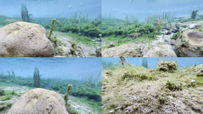 河北邯郸-峰峰黑龙洞泉清澈水底的自然景观