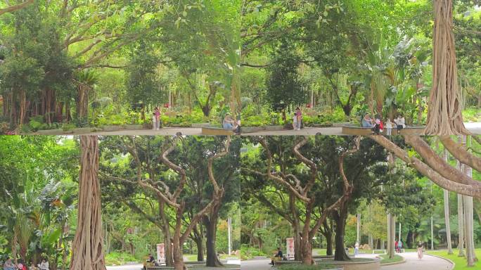 绿树成荫的休闲公园
