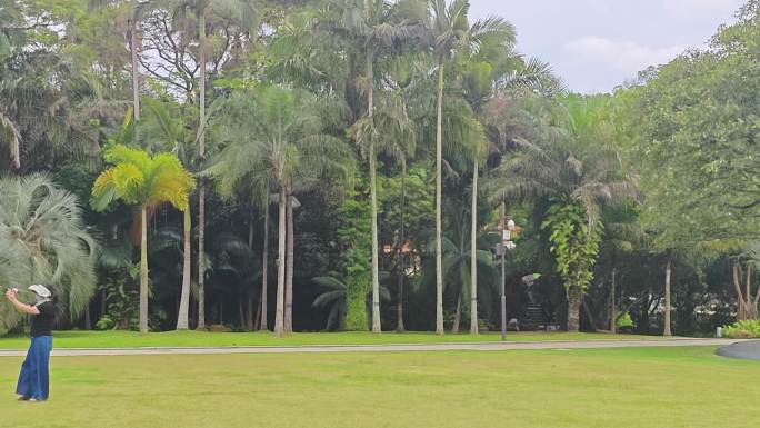 热带植物园的休闲时光