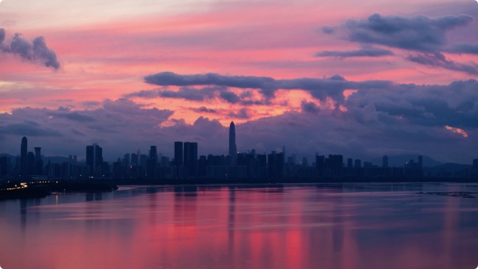 深圳各区粤港澳大湾区城市宣传片