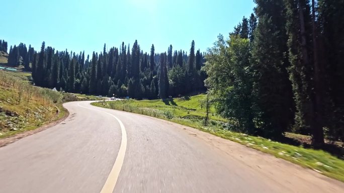 沥青公路在阳光明媚的日子里蜿蜒穿过森林景观。