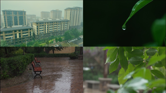小区下雨 雨中小区环境