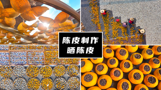 陈皮制作晒陈皮新会陈皮村